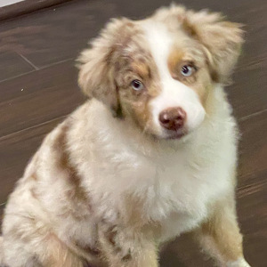 Fundraising Page: Kathrin Szurgot